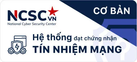 web-ca-cuoc-uy-tin-ninjaseo.in